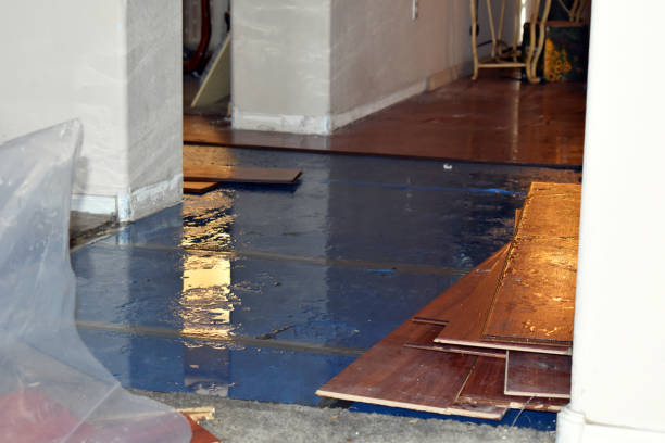 Professional Water Damage Restoration technician working in Wilson, WY